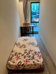Balestier Road (D12), Condominium #599239761